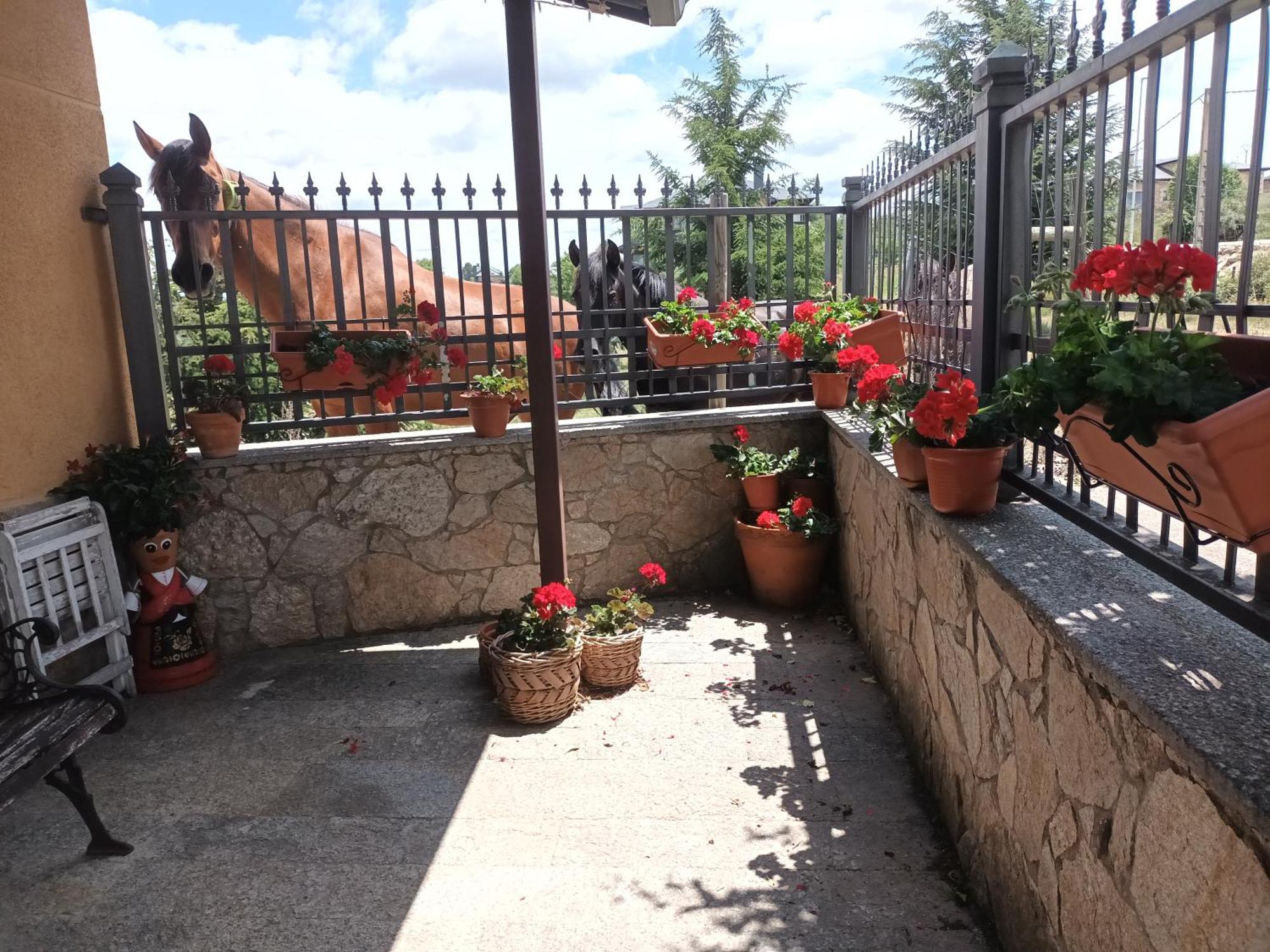 La Artesonada Casa Con Finca Villa Puebla de Sanabria Dış mekan fotoğraf